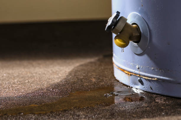 Best Water damage cleanup near me  in Carrizo Hill, TX