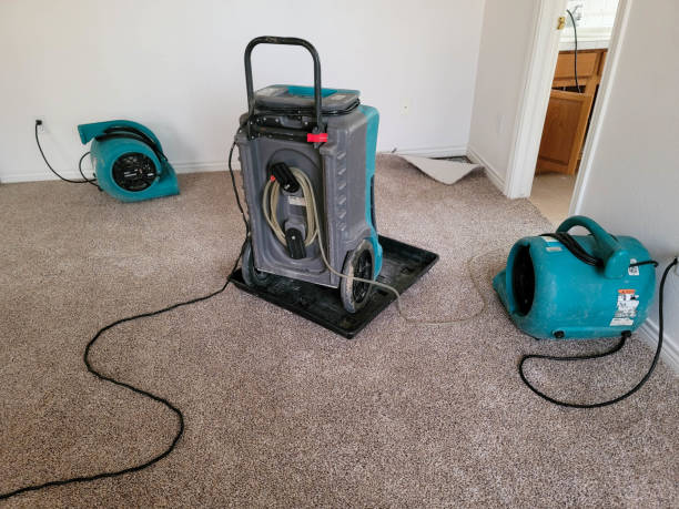 Best Emergency water damage restoration  in Carrizo Hill, TX