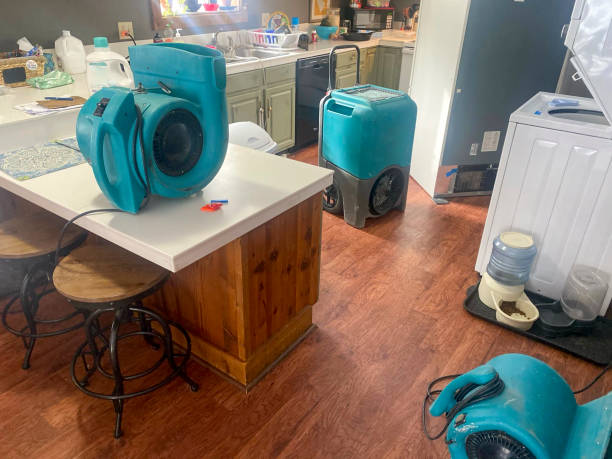 Best Flood damage cleanup  in Carrizo Hill, TX