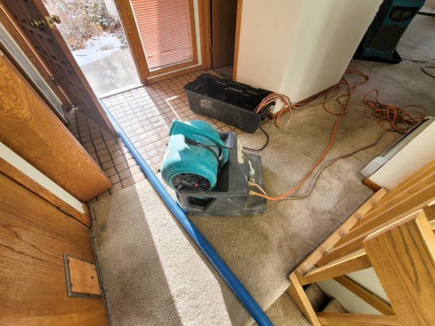 Best Water damage contractors near me  in Carrizo Hill, TX