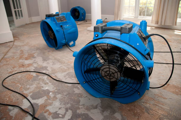 Best Water damage restoration near me  in Carrizo Hill, TX