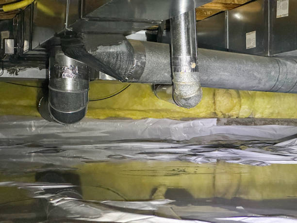 Best Flood damage cleanup  in Carrizo Hill, TX
