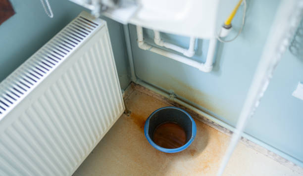 Best Basement water damage restoration  in Carrizo Hill, TX